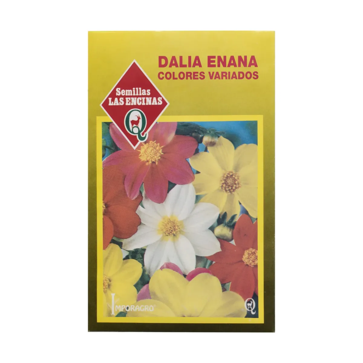 Semillas Sobre Las Encinas Dalia Enana1