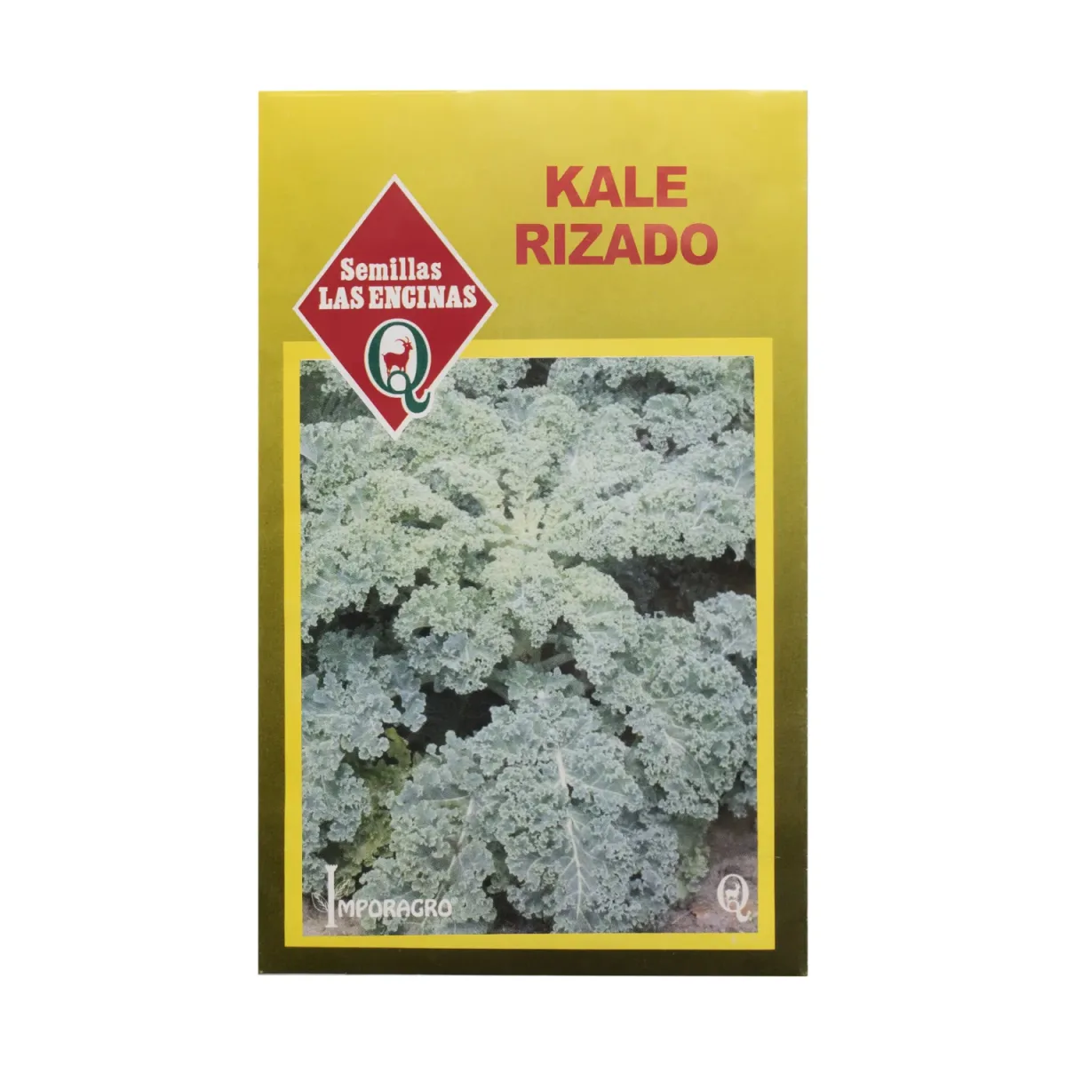 Semillas Sobre Las Encinas Kale Rizado1