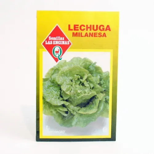 Semillas Sobre Las Encinas Lechuga Milanesa1