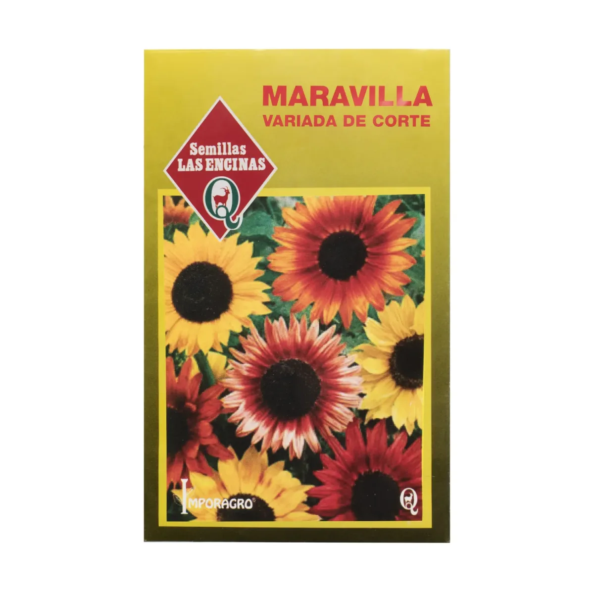 Semillas Sobre Las Encinas Maravilla de corte1