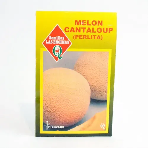 Semillas Sobre Las Encinas Melon Cantalup1
