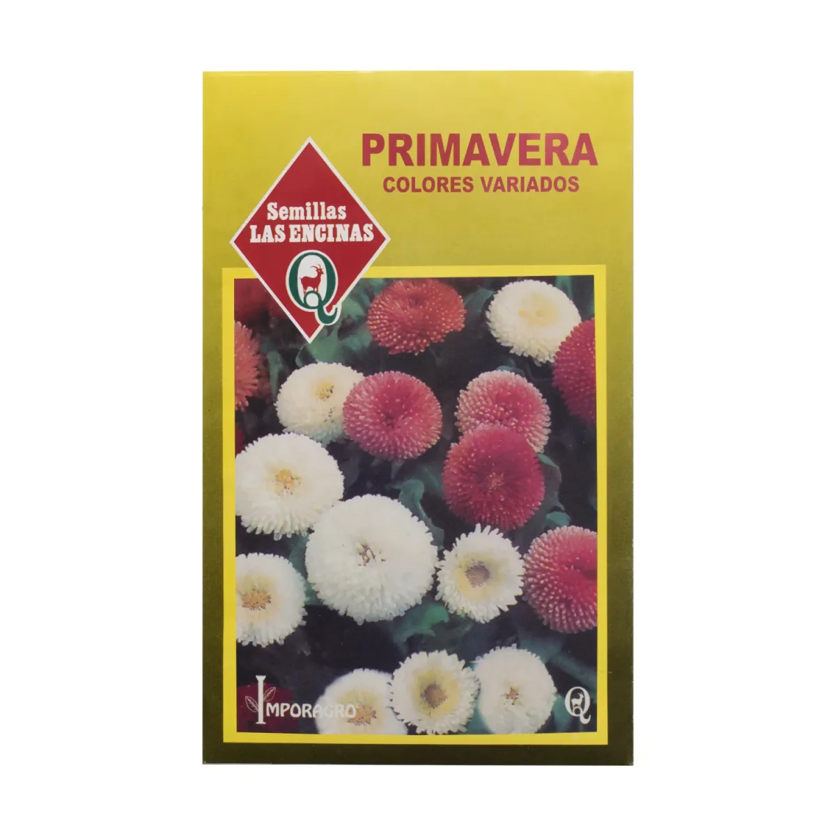 Semillas Sobre Las Encinas Primavera1