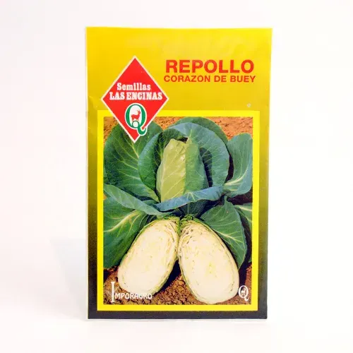 Semillas Sobre Las Encinas Repollo Corazon de Buey1