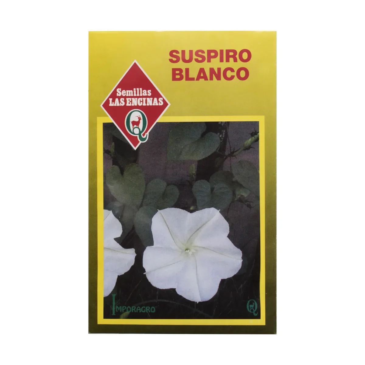 Semillas Sobre Las Encinas Suspiro Blanco1