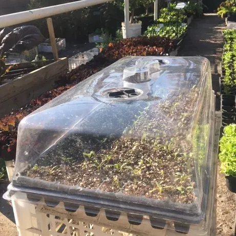 Tapa de Almaciguera con Ventilacion Unidad2