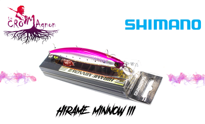 Hirame Minnow III 05J