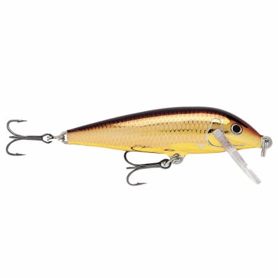 SEÑUELO RAPALA CD07 GALB GOLDEN ALBUMUS