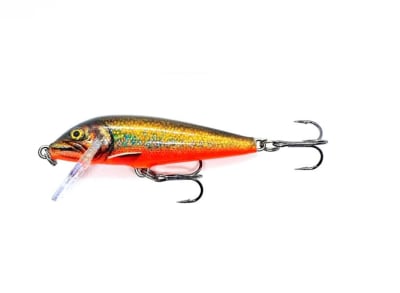 SEÑUELO RAPALA CD07 CHL LIVE CHAR