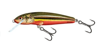 SEÑUELO SALMO MINNOW 7 RAINBOW DACE 6GR RBD