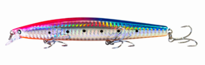 SAKANA NARITA 129S 24G. ZANAHORIA