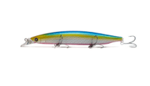 SAKANA SHIZUOKA BLUE HEAD 140S 31GR