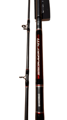 CAÑA DAIWA WILDERNESS 2.42MT 12-25LB