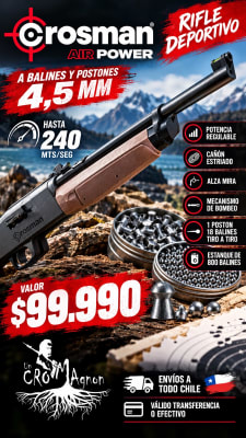 RIFLE CROSMAN 2100 CLASSIC VARIABLE PUMP