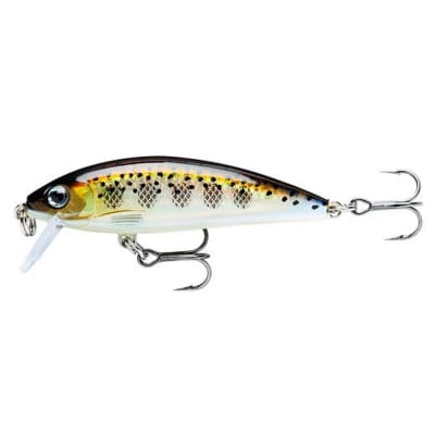 SEÑUELO RAPALA XRAP CD07  MD MUDDLER