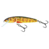 Señuelo Salmo Minnow 5 Trout FL_TRO1