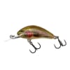 Señuelo Salmo HORNET 4  Rainbow trout  4 grs RBT1