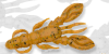 ECOGEAR JUKUSEI AQUA ROCK CLAW 2.5 J041