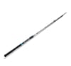 CAÑA BADS FISH SHORE CAST 3.0MT 50-100GR1