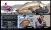 Taller de Pesca1