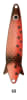 CUCHARA TOBY FALCON CLAW TB60H60 GRS KR1