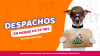 Despachos Despachos