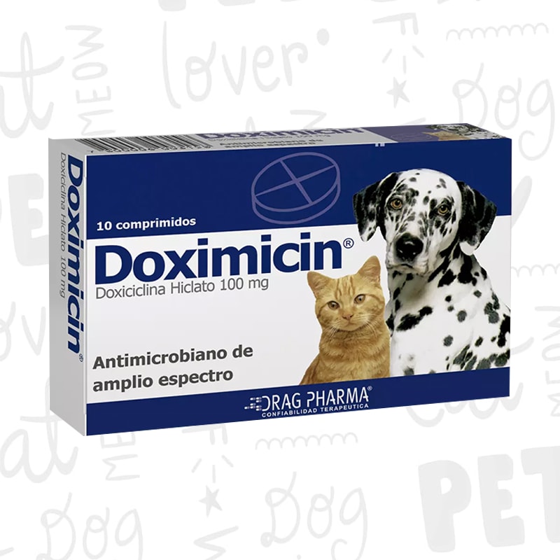 Medicamentos y Suplementos felino | Berlin Happy | Pet Shop