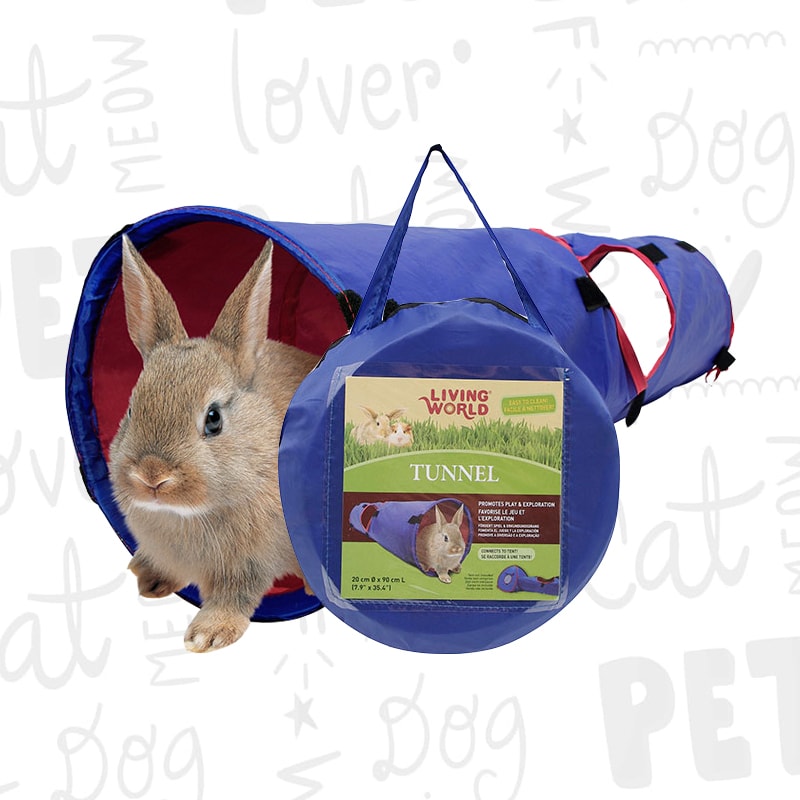 Juguetería Exóticos Berlin Happy Pet Shop