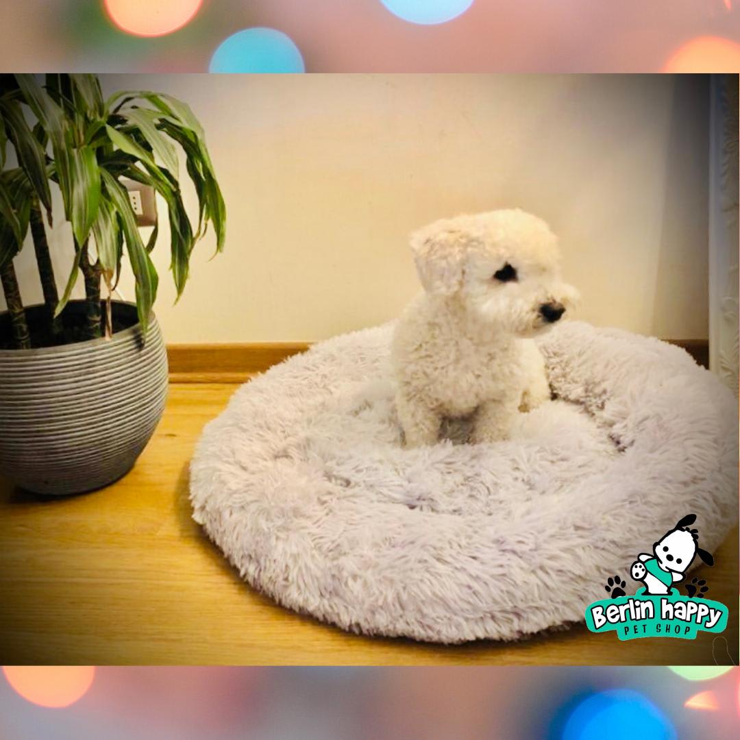 cama para perros antiestres