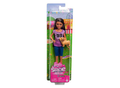 BARBIE STACIE AL RESCATE LIGAYA1