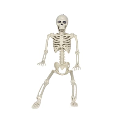 ESQUELETO