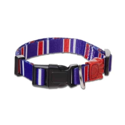 COLLAR ESTILO TALLA S BUDDY PET