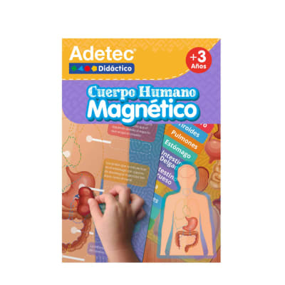CUERPO HUMANO- LÁMINAS MAGNÉTICAS INTERACTIVAS2