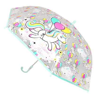 PARAGUA TRANSPARENTE3