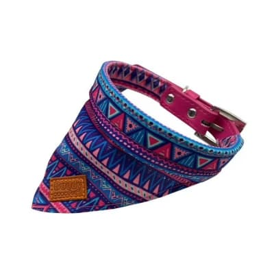 COLLAR PERRO TALLA S PAÑUELO BUDDY PET