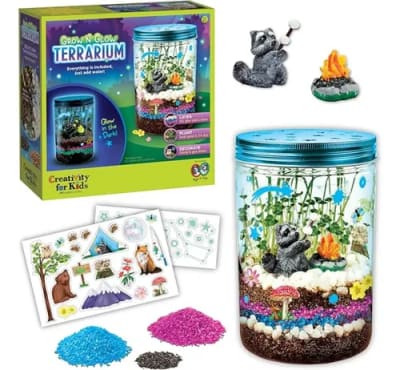 TERRARIO CRECE Y BRILLA EN LA OSCURIDAD