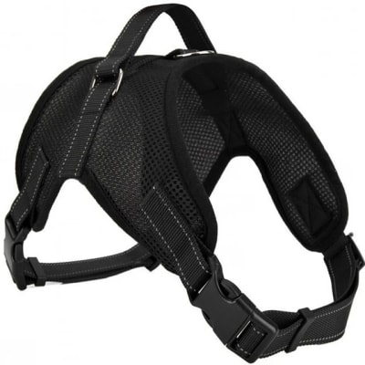 ARNÉS NEGRO TALLA L1