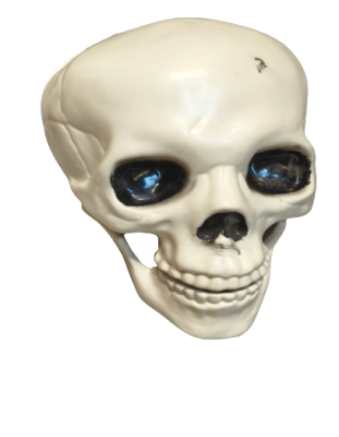 CALAVERA ESCRITORIO