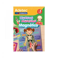 HUESOS Y MUSCULOS - LÁMINAS MAGNÉTICAS INTERACTIVAS2