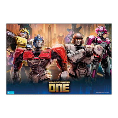 INDIVIDUAL TRANSFORMRS ONE1