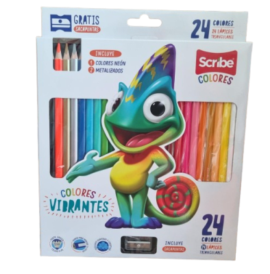 COLOR U.PUNTA TRIANG SCRIBE 24PZA 24U