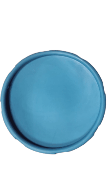 FRISBEE AZUL GOOD SCOUT