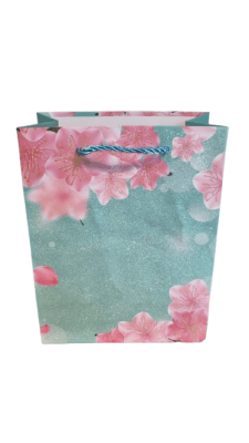 BOLSA DE CUMPLEAÑOS S TODA OCASIÓN