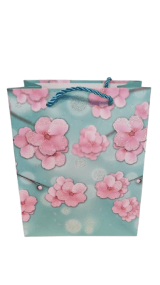 BOLSA DE CUMPLEAÑOS S TODA OCASIÓN