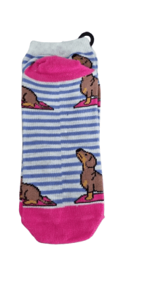 1 PAR DE CALCENTINES AZUL/ROSA