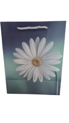 BOLSA TODA OCASIÓN FLOR 23*18*101