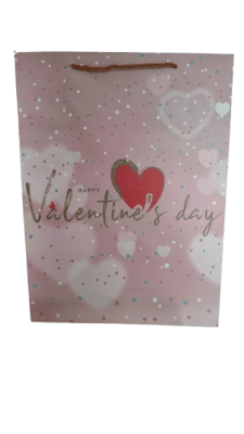 BOLSA TODA OCASIÓN L 40*30*12