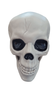 CALAVERA ESCRITORIO