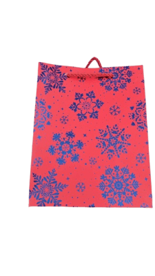 BOLSA DE REGALO ROJA