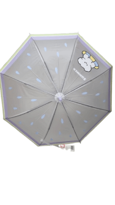 PARAGUA PUNTOS TRANSPARENTE2