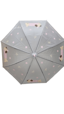 PARAGUA DOG TRANSPARENTE2